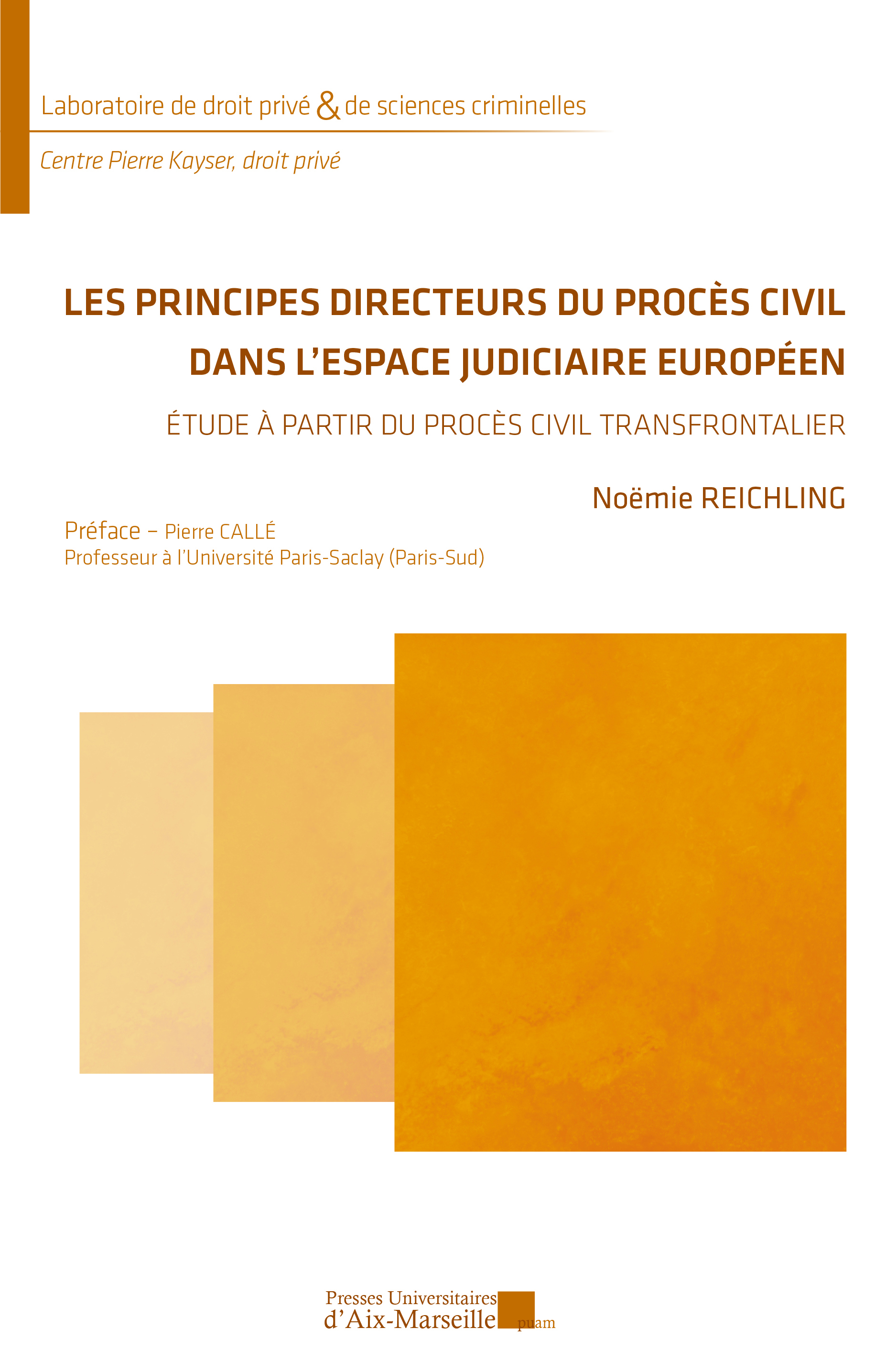 Les Principes Directeurs Du Procès Civil Dans L’espace Judiciaire ...